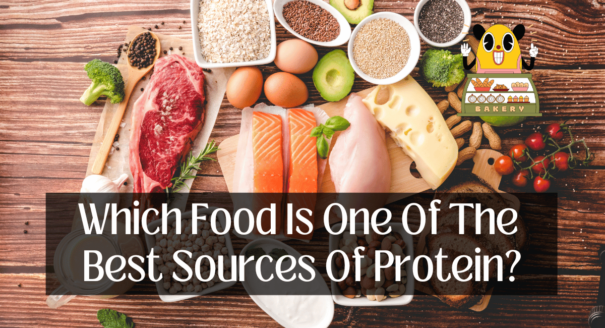 Which Food Is One Of The Best Sources Of Protein?